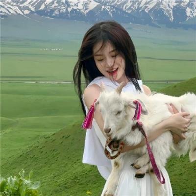 狗吃掉了影子封面